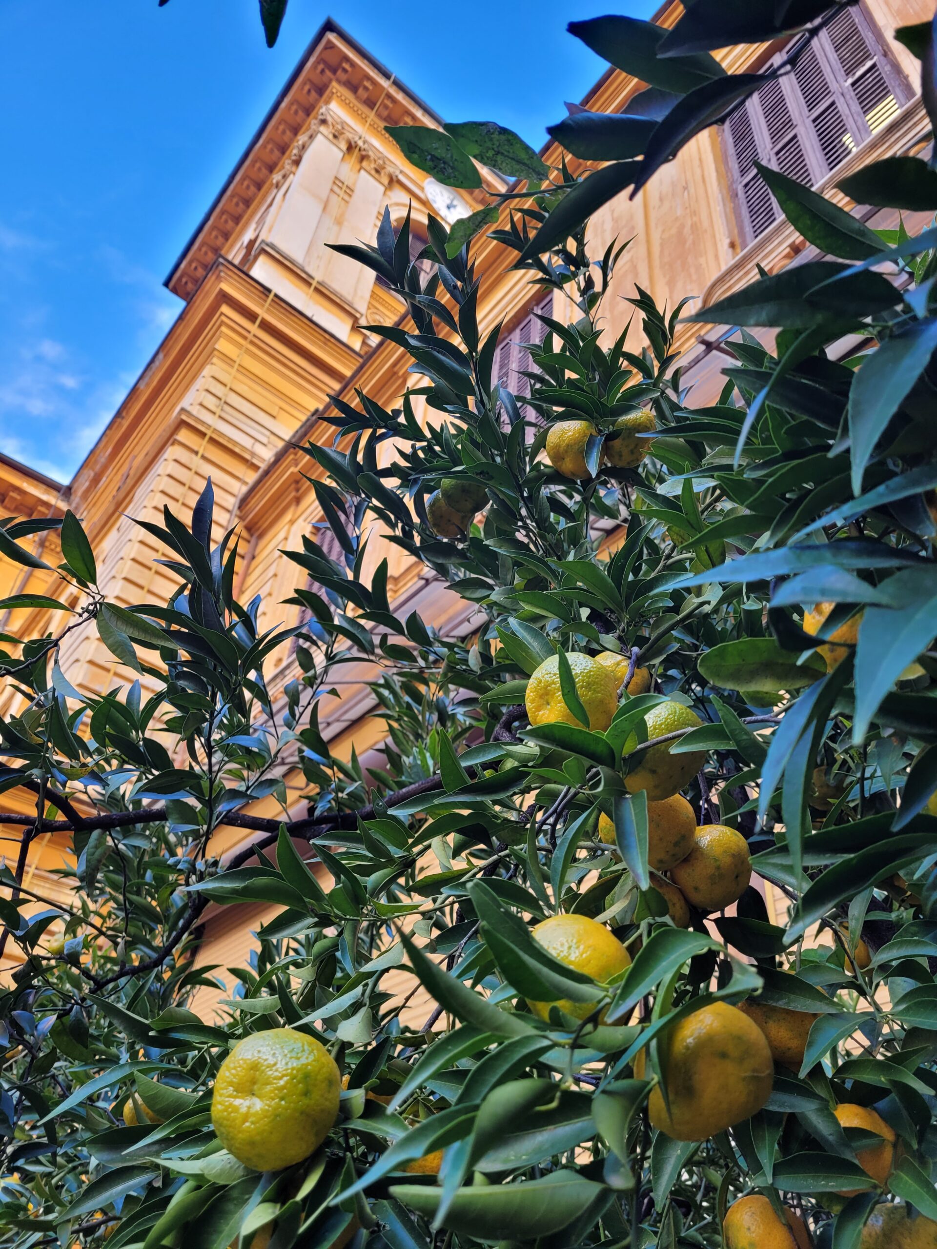 Mid-Term Meeting of the UNI-T Project in Rome: A Key Moment for Progress and Collaboration